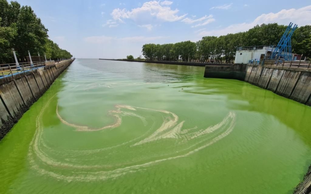 Sigue el alerta por cianobacterias en la ribera