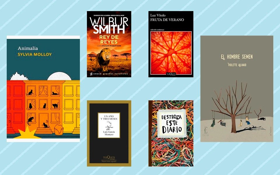 Novedades