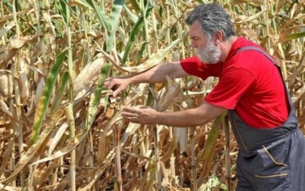 Ayuda para productores rurales