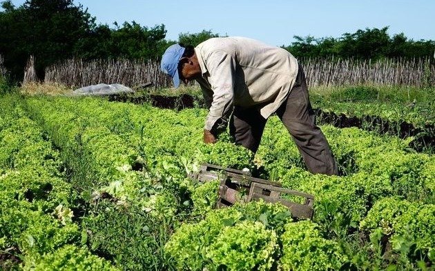 Necesidad de preservar y darle más fuerza al sector rural de la Región