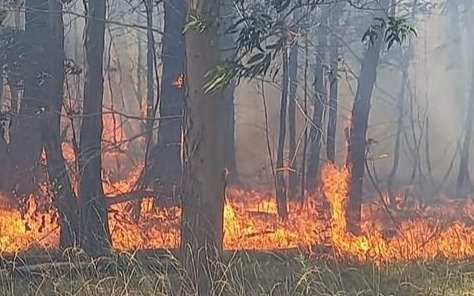 En La Plata se vieron llamas de un incendio en Los Talas