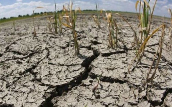 Sequía: dejan de ingresar U$S 8.000 millones