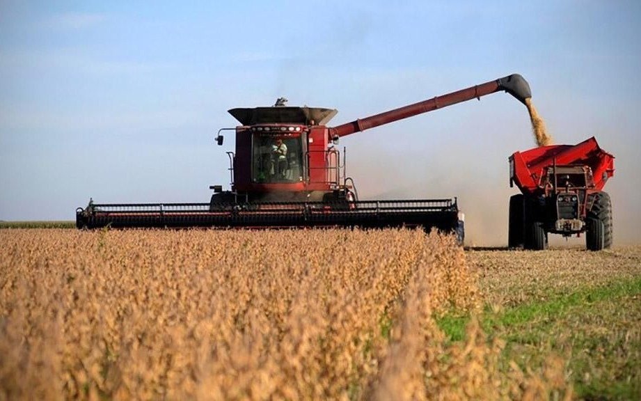 Más del 67% de la rentabilidad del campo queda para el Estado