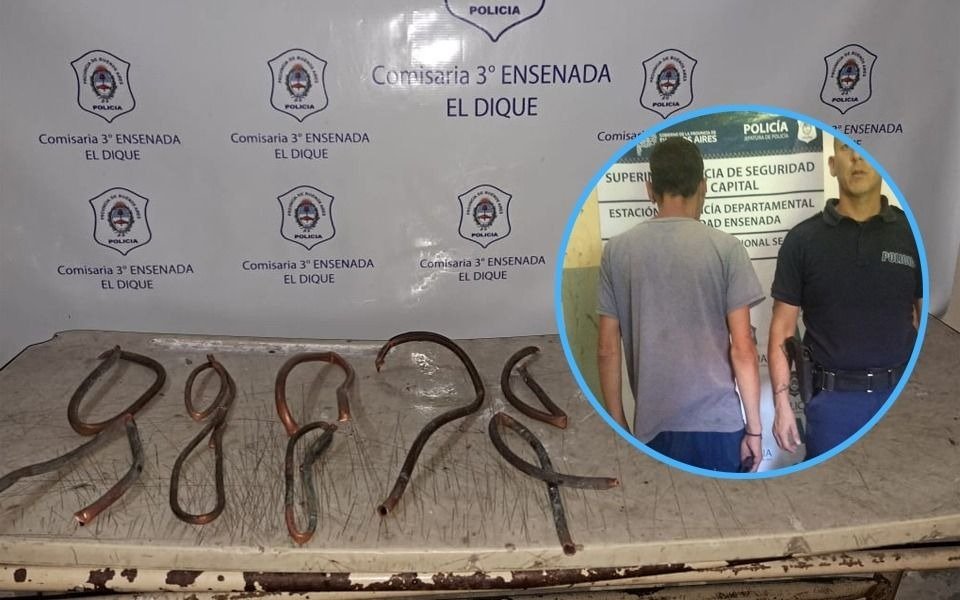 El “ladrón de bronce” fue arrestado en el Dique