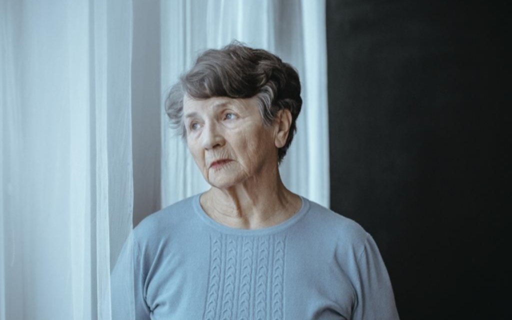 La conmemoración del Día de la Mujer para las adultas mayores