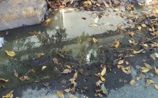Aguas servidas en plena calle