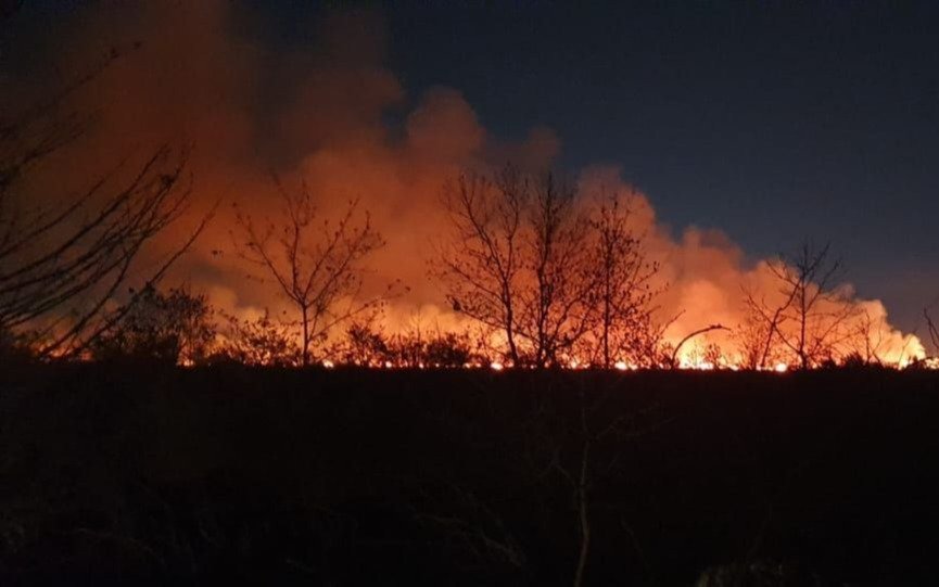 Incendios de campos que no dan tregua en nuestra región