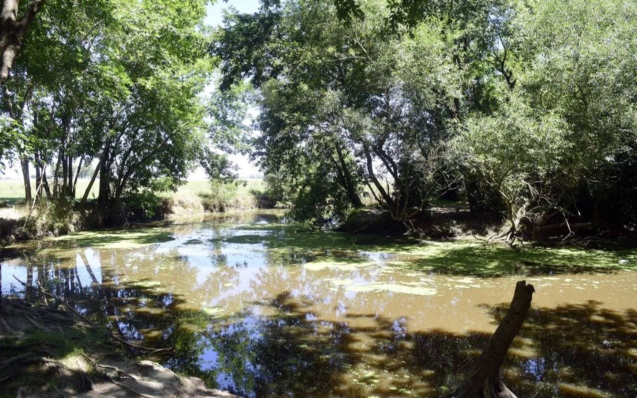 La Justicia frenó obras previstas para el humedal del arroyo El Pescado