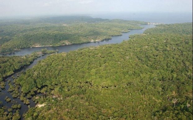 La promesa de salvar la Amazonía