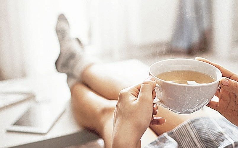 El té con excremento de oruga, una nueva tendencia en infusiones