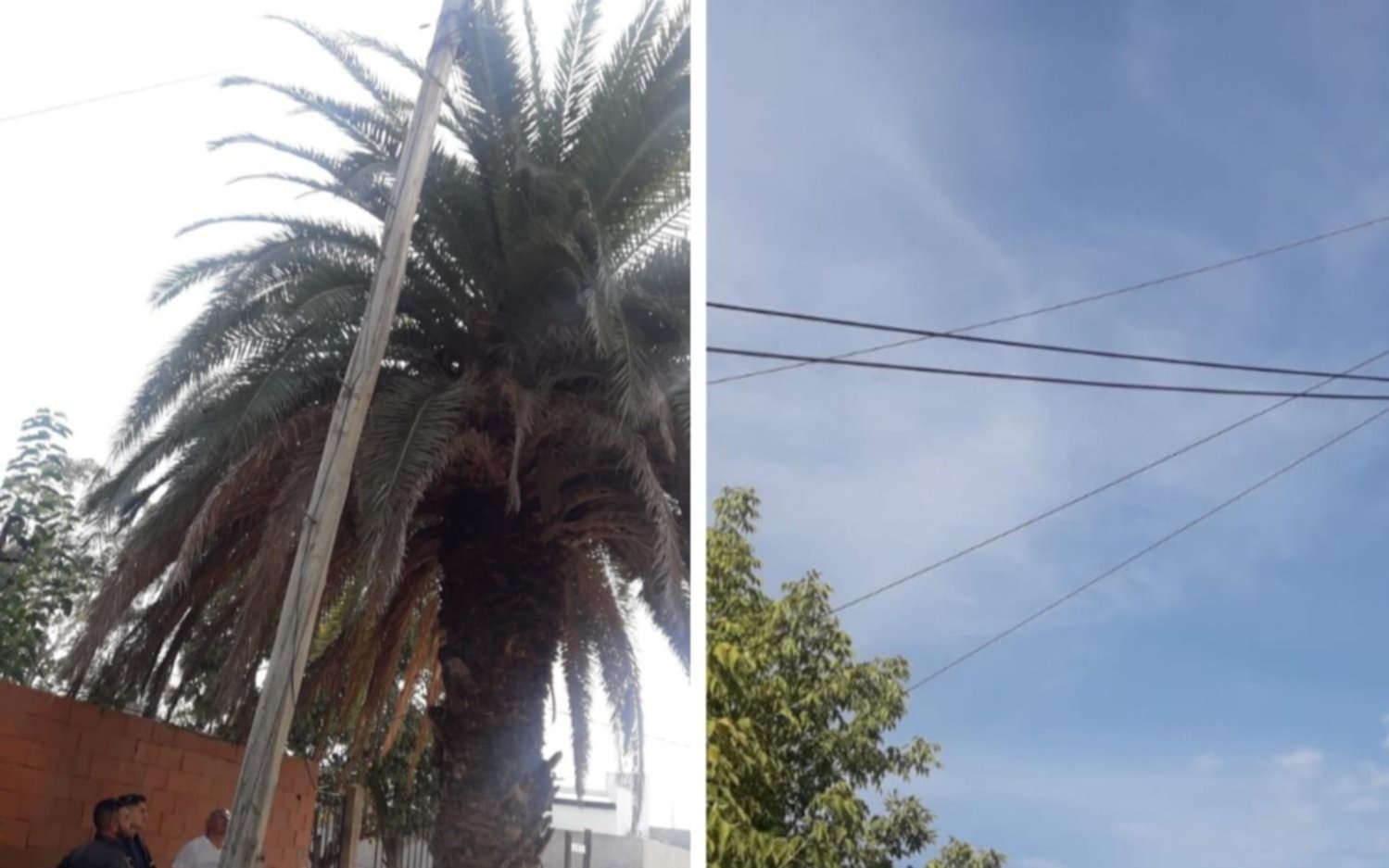 Un camión movió cables y postes