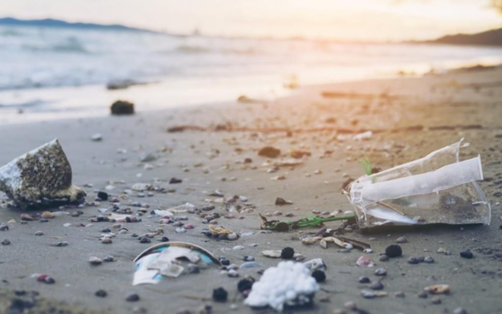 Hallan una abundante vida marina en basura del mar