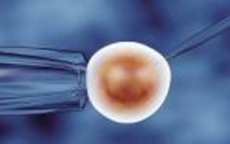 Crece el uso de óvulos donados para tratamientos