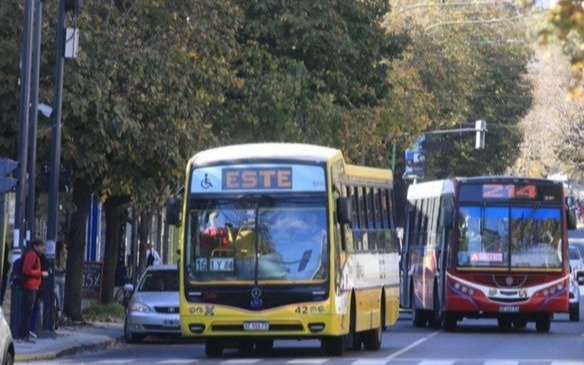 Definen si hay paro de micros: cómo afectaría a La Plata