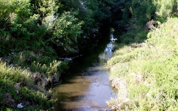 Retoman obras sobre el arroyo Maldonado
