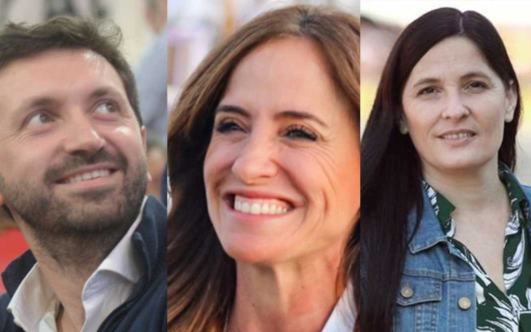 Uno por uno, quiénes son los platenses que buscan una banca en Diputados