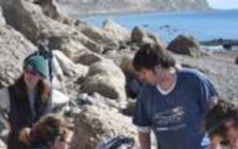 Descubrieron restos del animal más grande de todos los tiempos
