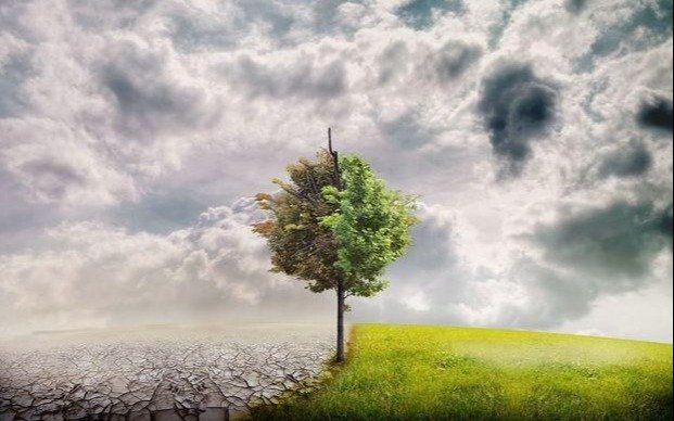 Marchas y redes en la lucha joven por el clima