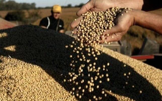 Brasil lidera el mercado mundial de harina de soja