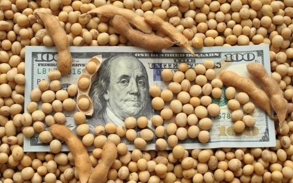 Avisan a exportadoras que no habrá “dólar-soja”