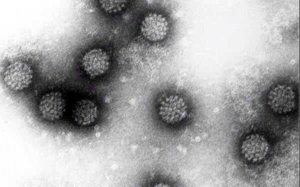 Alertan por el impacto del virus papiloma en varones
