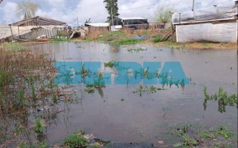 Piden medidas urgentes para el cordón “verde”