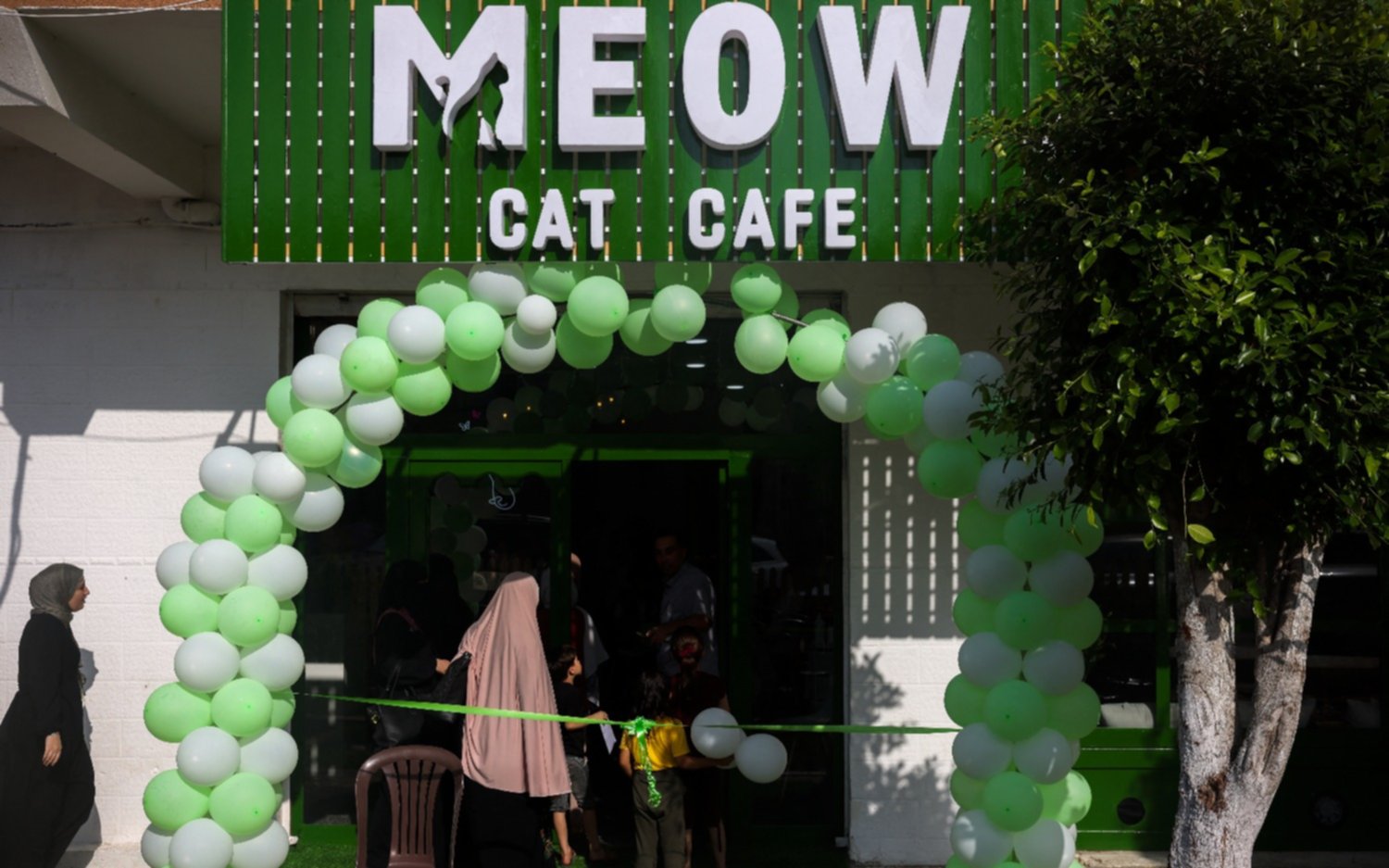 Un café para gatos alivia el estrés en Gaza