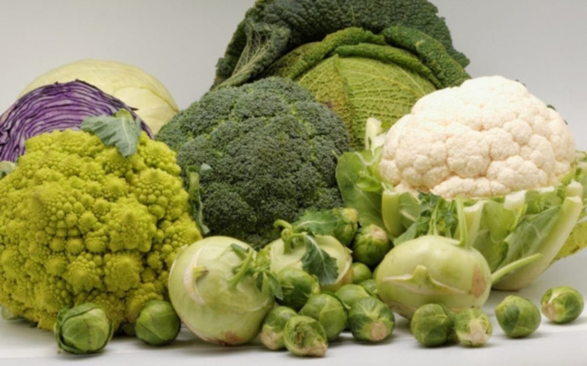 Buscan que las verduras se conserven más y mejor