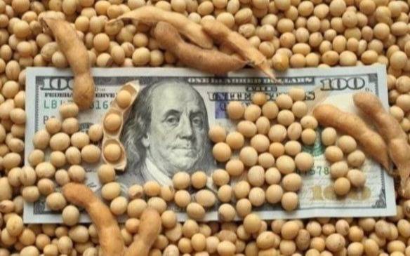 El dólar soja ayudó a contener los mercados