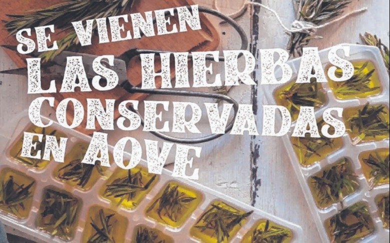 Cómo conservar hierbas aromáticas en AOVE