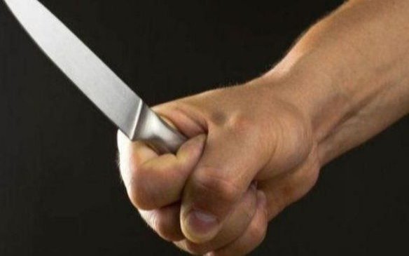 Brutal agresión en una vivienda de Tolosa