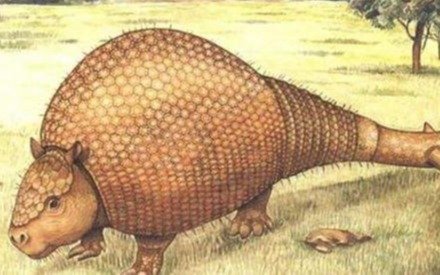 Descubren un nuevo tipo de gliptodonte en Olavarría