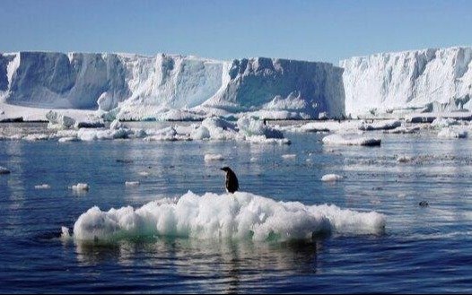 Más del 40% de las plataformas de hielo de la Antártida perdieron masa en 25 años