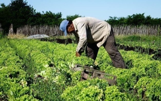 Los campesinos y el relevo generacional