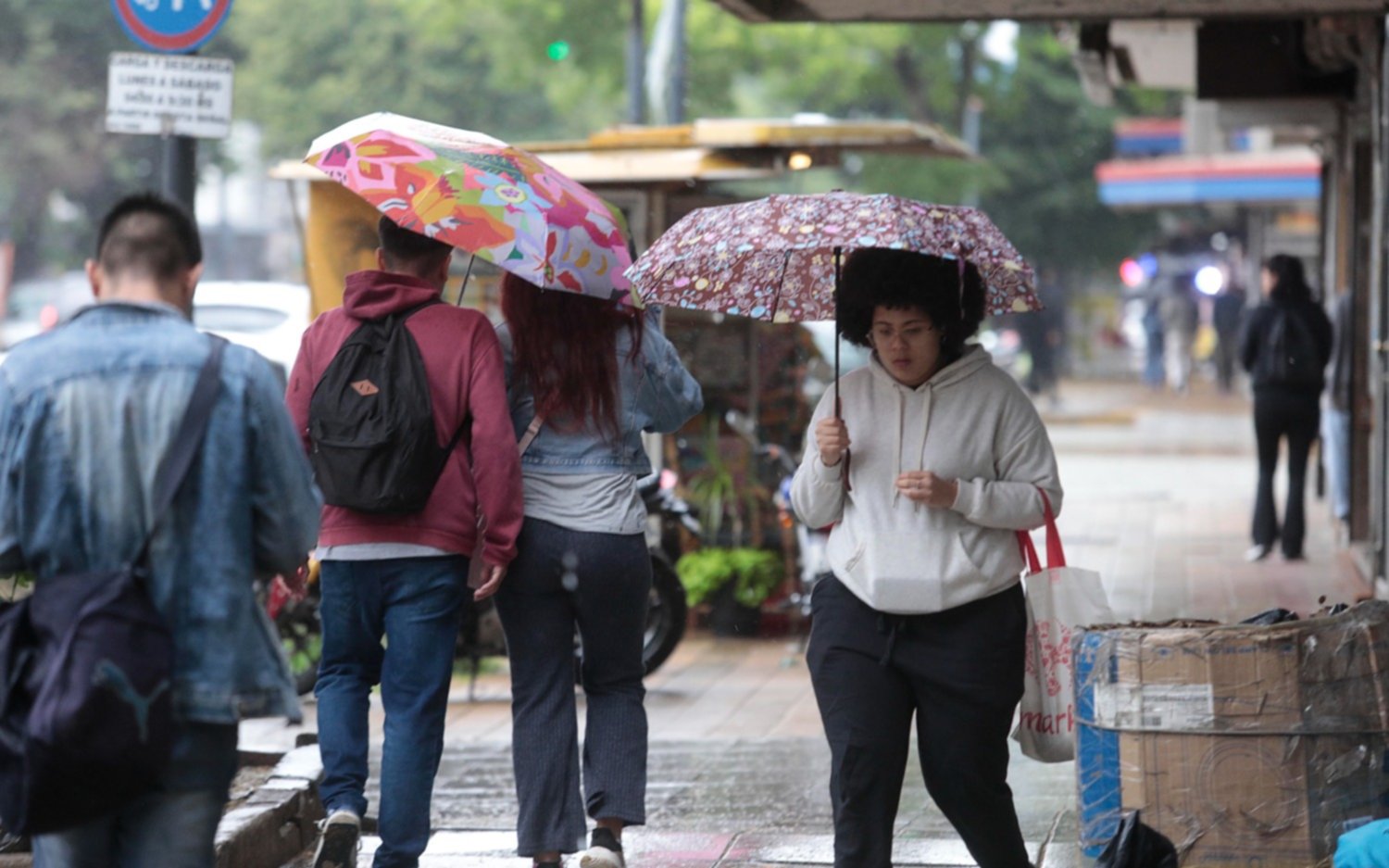 La Plata en imágenes: lo que la tormenta dejó