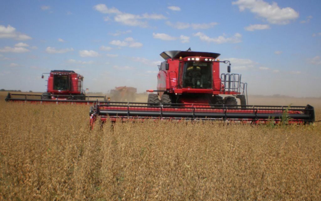 El campo empuja y el mercado, aguanta