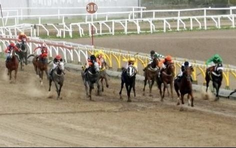 Carreras suspendidas en el Hipódromo de La Plata
