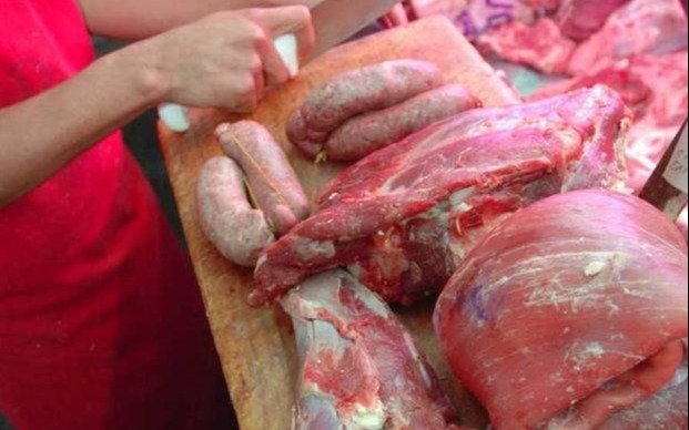 Buscan terapia para síndrome urémico hemolítico