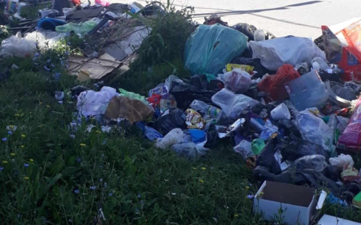 Piden por la higiene urbana en una esquina de Los Hornos