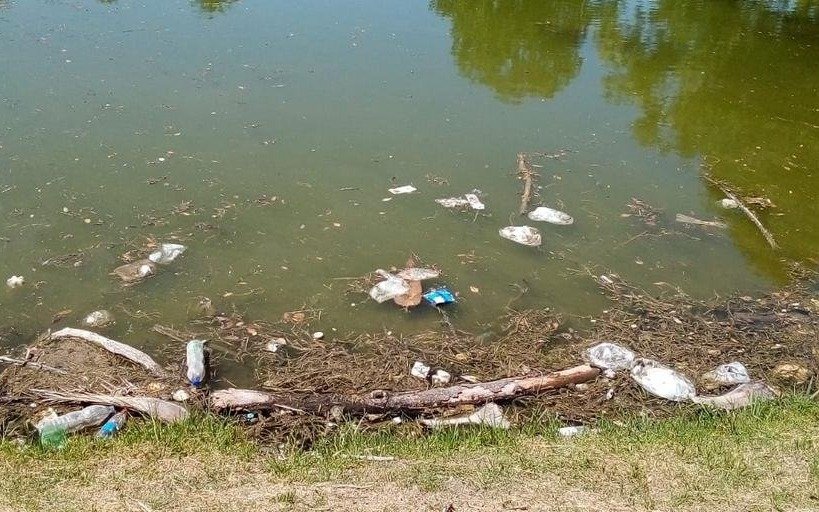 Necesitan mayor cuidado el lago y el paseo del histórico Parque Saavedra