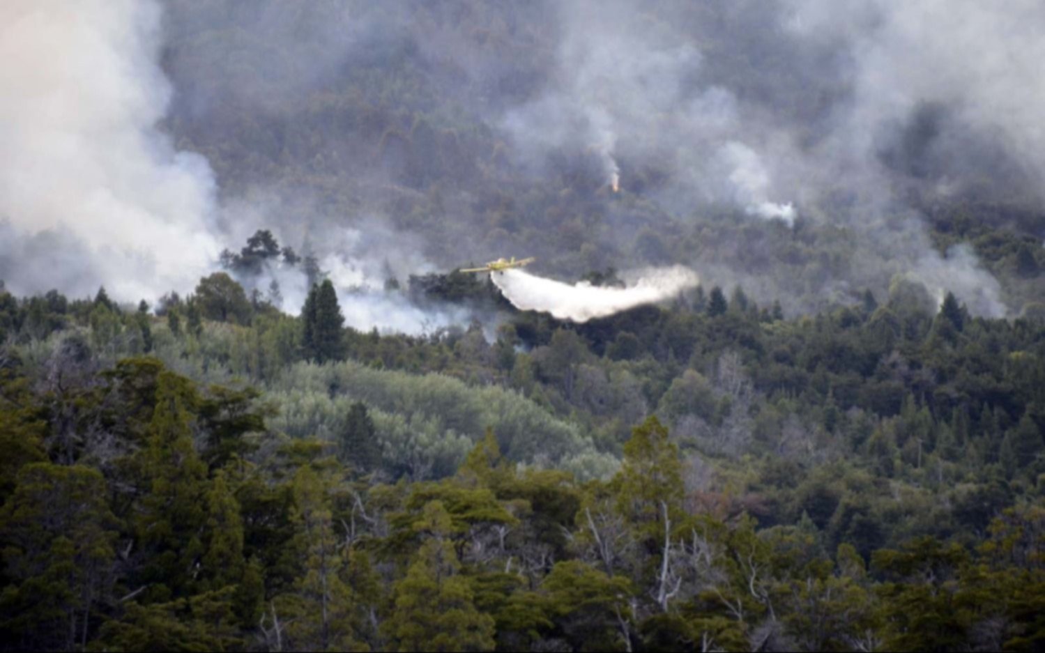 No cede el fuego en el parque Los Alerces