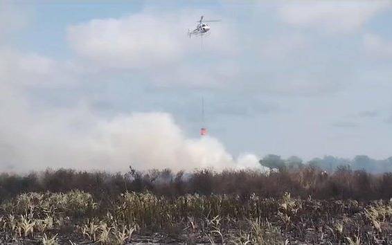 La reserva natural de Punta Lara otra vez en riesgo por un incendio