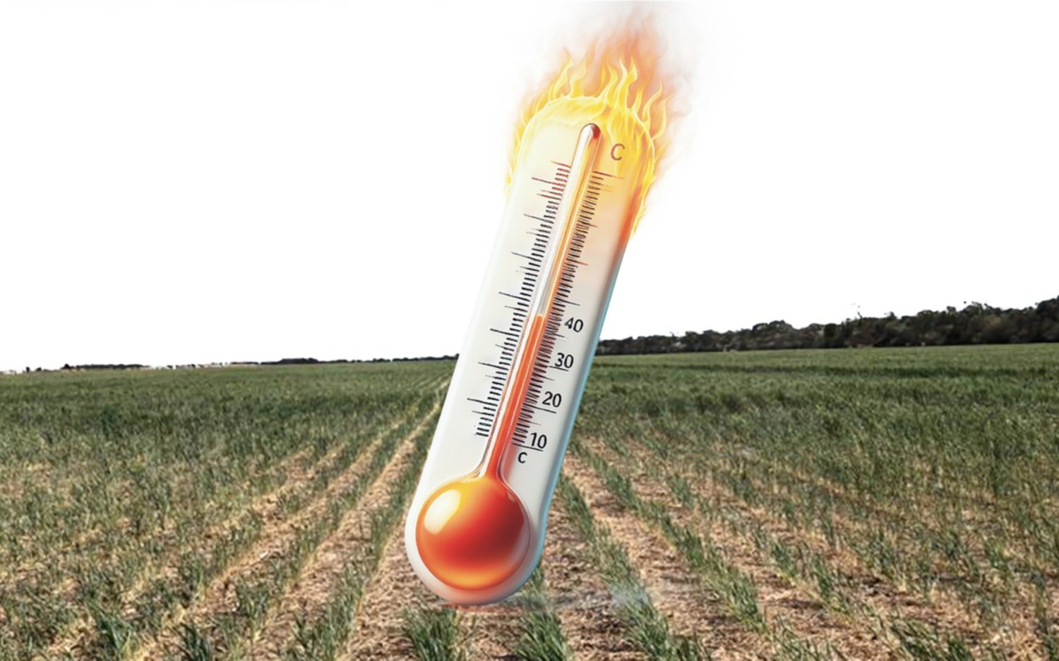 Cambio climático: el calor extremo y una nueva sequía que causa estragos