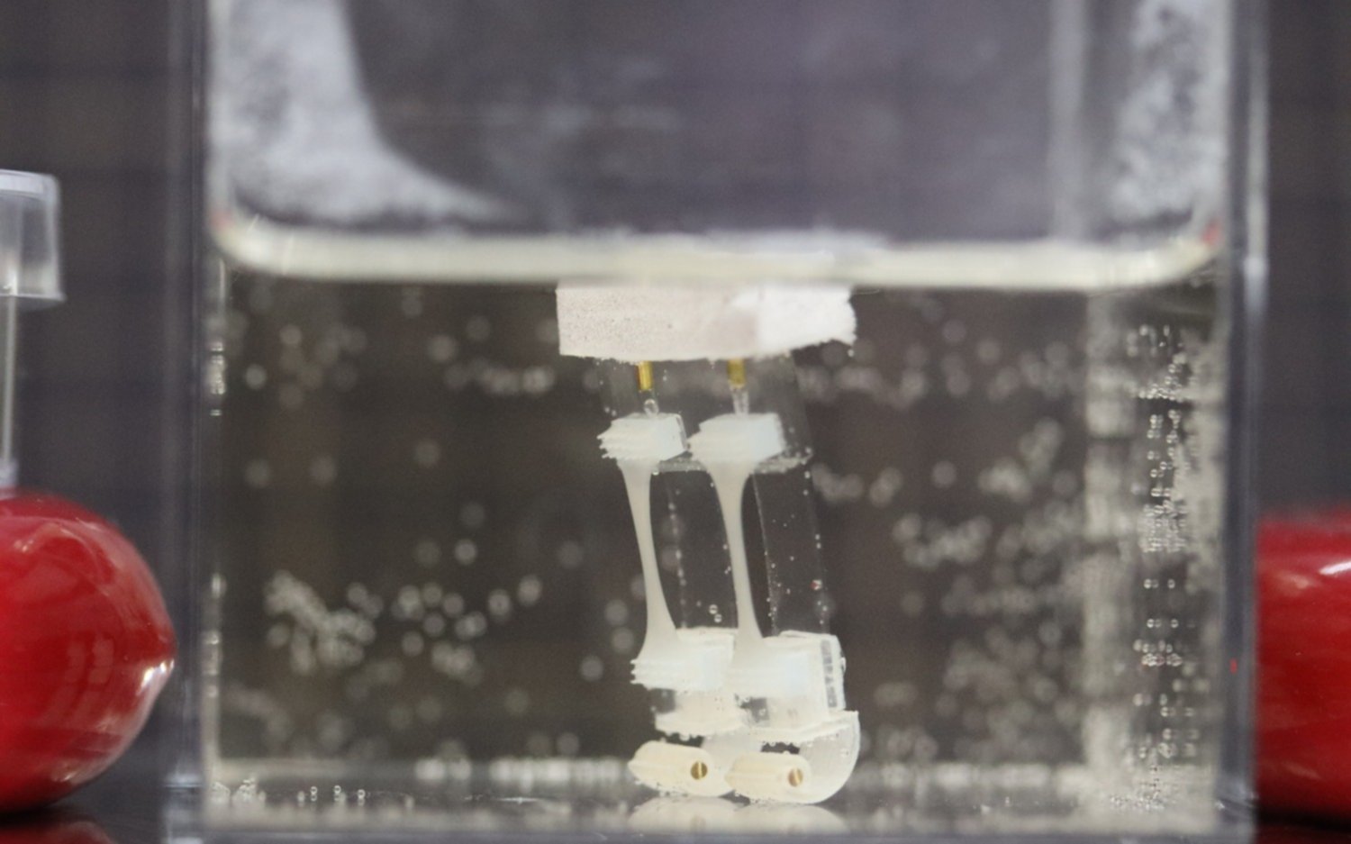 El robot de dos patas que camina y gira en el agua