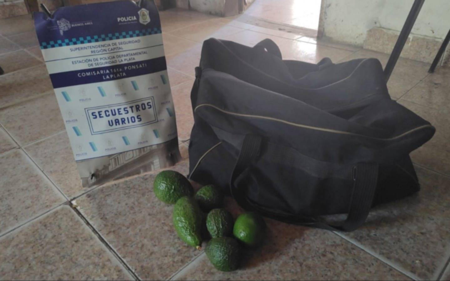 Dos jóvenes demorados por robar paltas en Villa Montoro