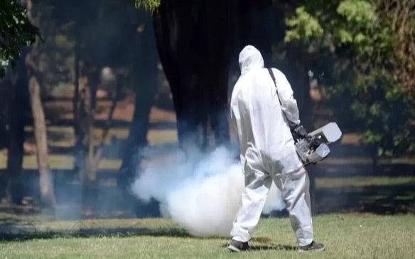 Piden fumigación en la zona de 122 y 121 que va de 64 a 66