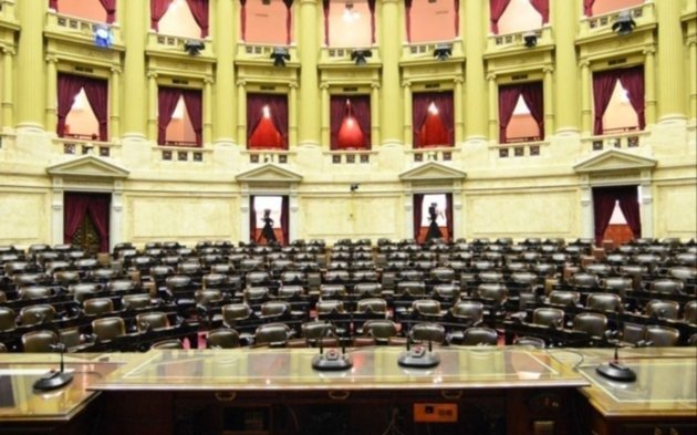 El Congreso de Argentina puede frenar a Elon Musk