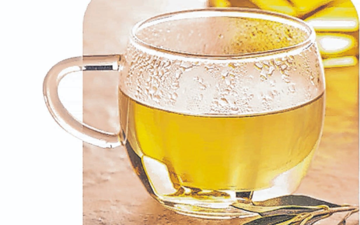 El té de olivo y sus múltiples beneficios