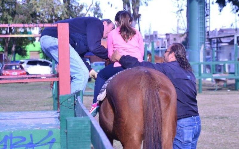Jornada abierta de divulgación sobre terapias asistidas con caballos
