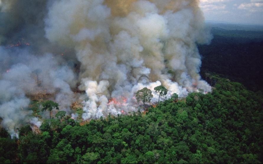 Inédita marca de incendios forestales en Brasil